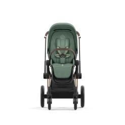 Pack Siège Pour Priam 4 / EPriam CYBEX Leaf Green -Cybex Soldes Magasin pack siege pour priam 4 epriam cybex leaf green 2