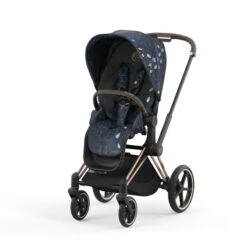 Pack Siège Priam 4 CYBEX Jewels Of Nature -Cybex Soldes Magasin priam 2022 pack siege 2