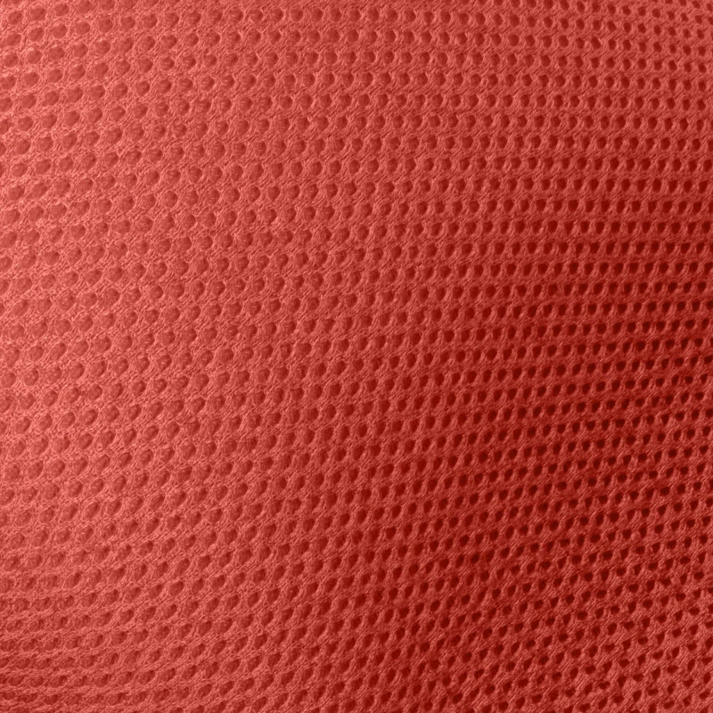 Siège-auto Sirona GI I-Size Plus CYBEX Hibiscus Red 11 Siège-auto Sirona GI I-Size Plus CYBEX Hibiscus Red – Image 10